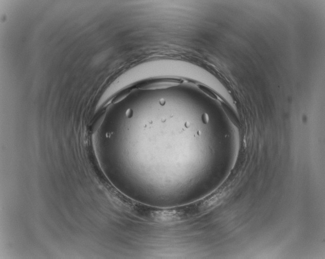 X0000067490273200604071211