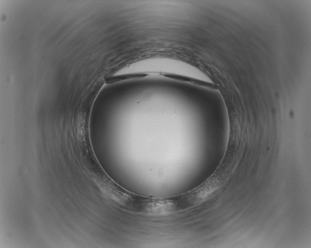 X0000067490274200604071211