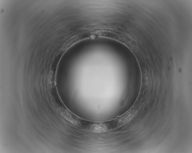 X0000067490275200604071211