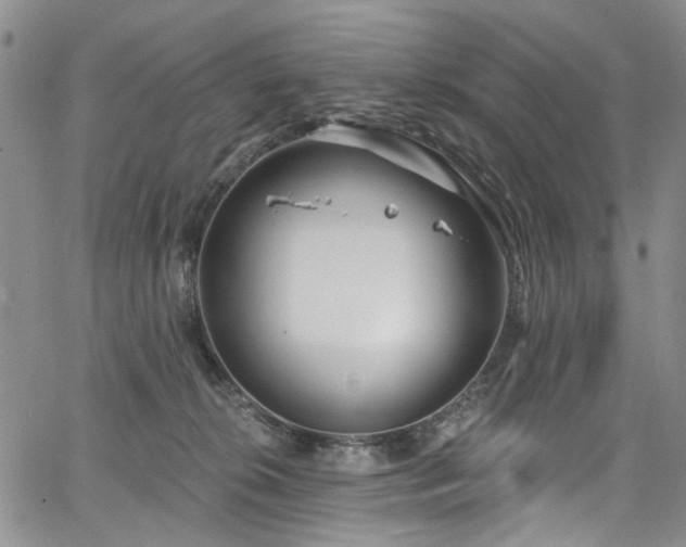 X0000067490276200604071211