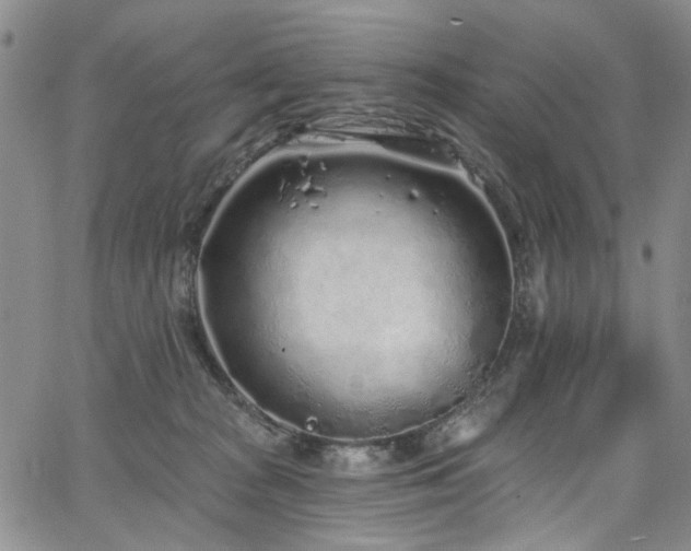 X0000067490277200604071211