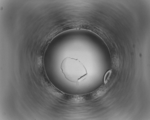 X0000067490278200604071212