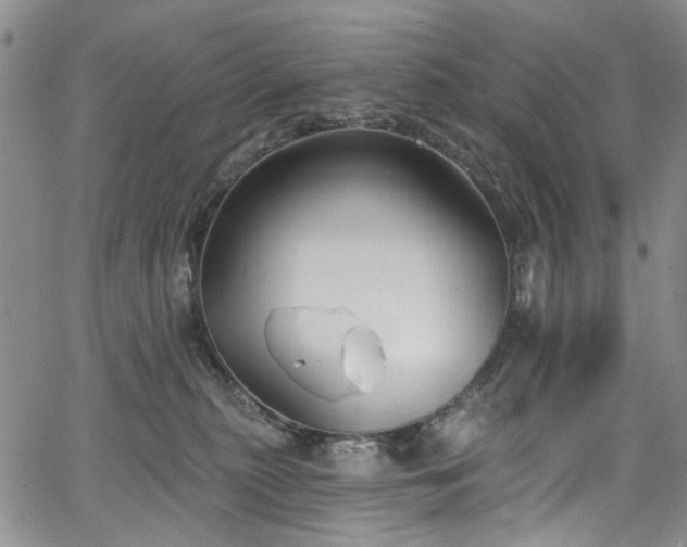 X0000067490279200604071212