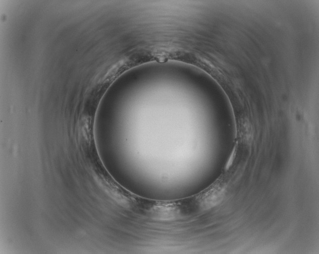 X0000067490280200604071212