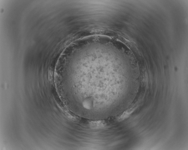 X0000067490281200604071212