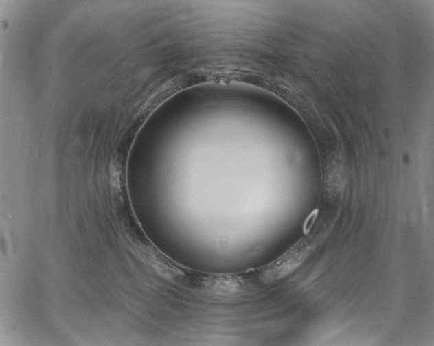 X0000067490282200604071212