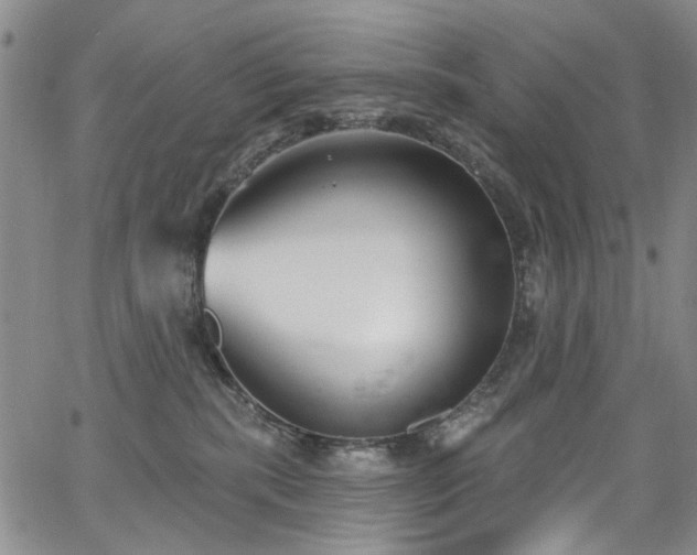 X0000067490283200604071212