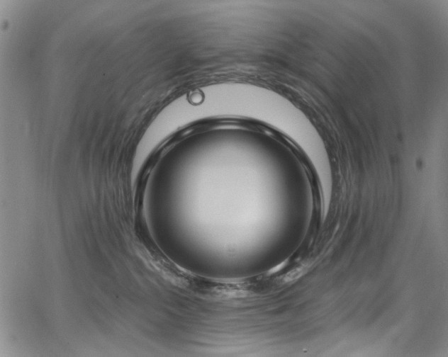 X0000067490284200604071212