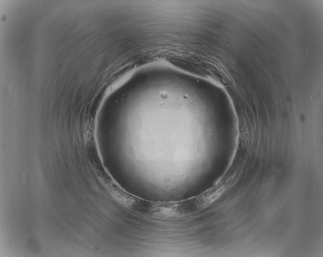 X0000067490285200604071212