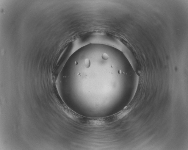 X0000067490286200604071212