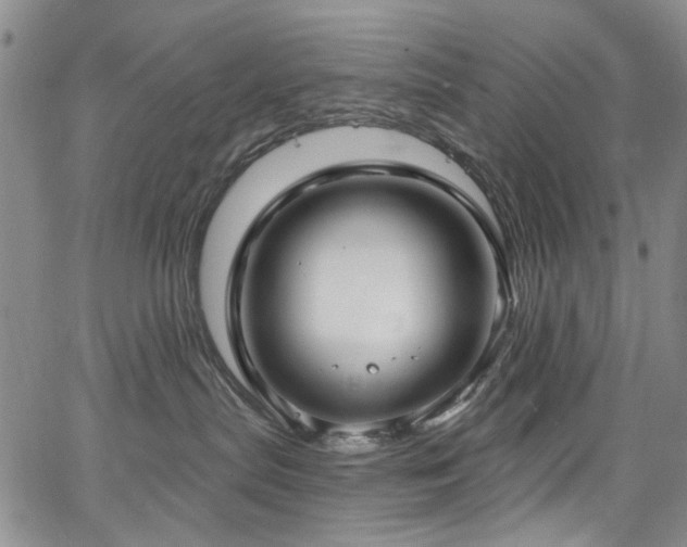 X0000067490287200604071212