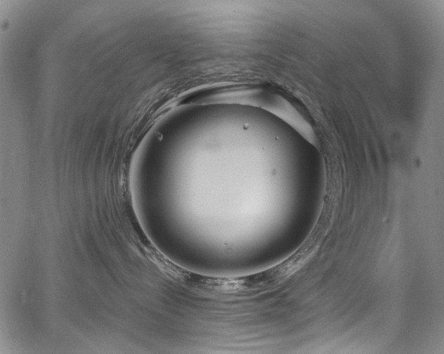 X0000067490288200604071212