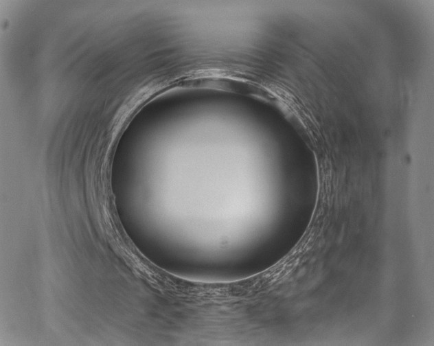 X0000067490289200604071211