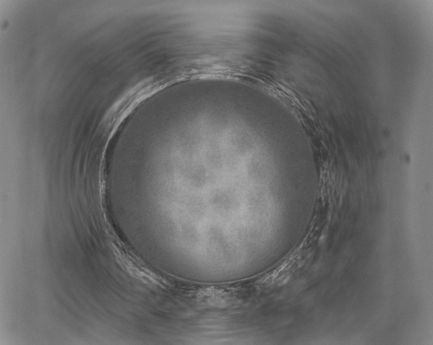 X0000067490290200604071211