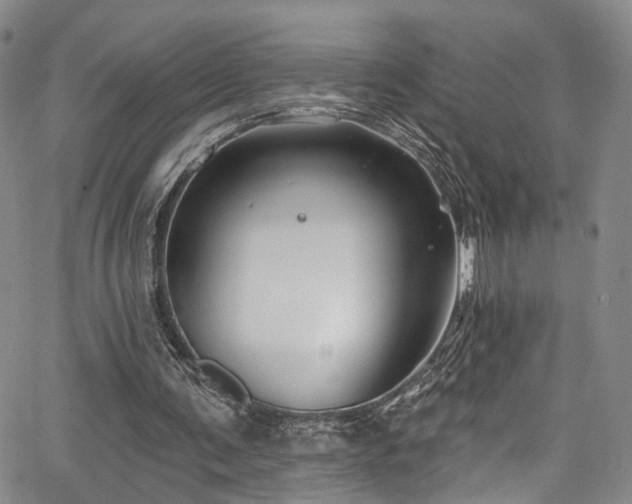 X0000067490291200604071211