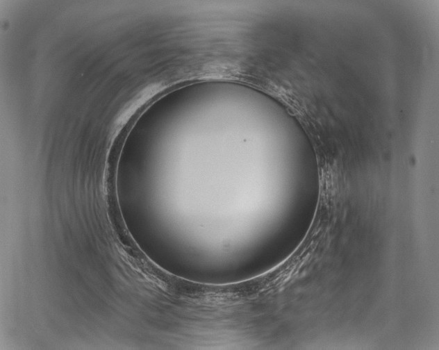 X0000067490292200604071211