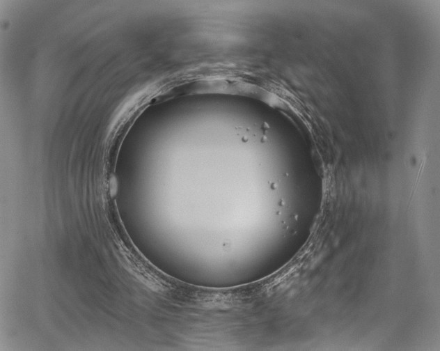 X0000067490293200604071211