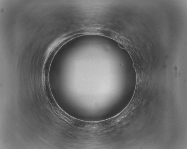 X0000067490294200604071211