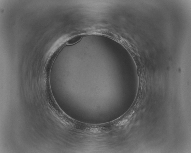 X0000067490295200604071211