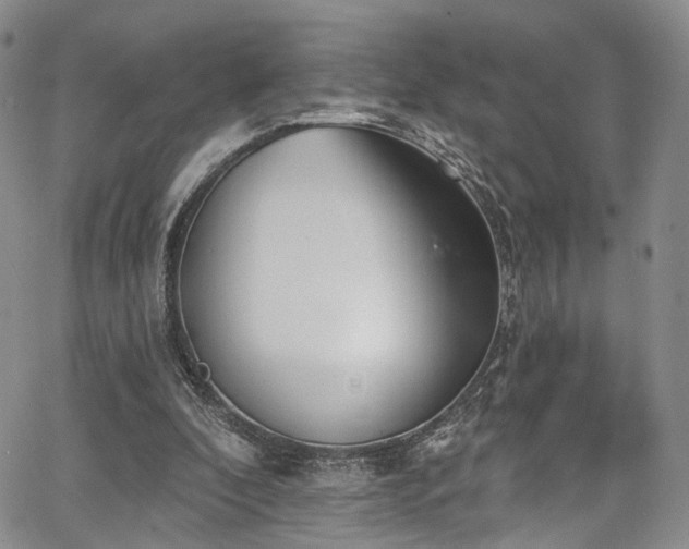 X0000067490296200604071211