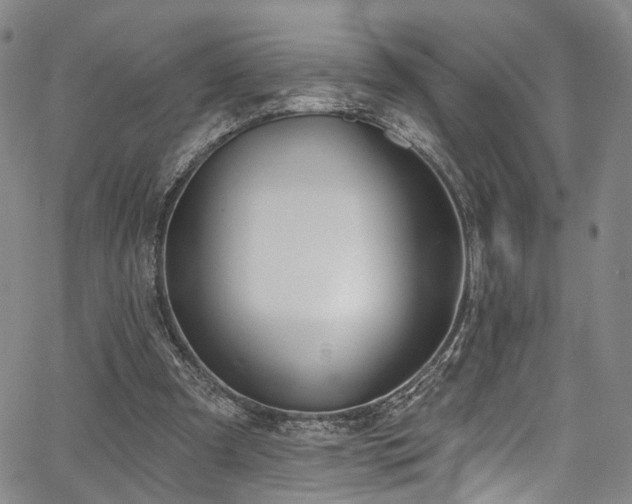 X0000067490297200604071211