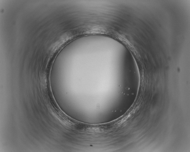 X0000067490298200604071211