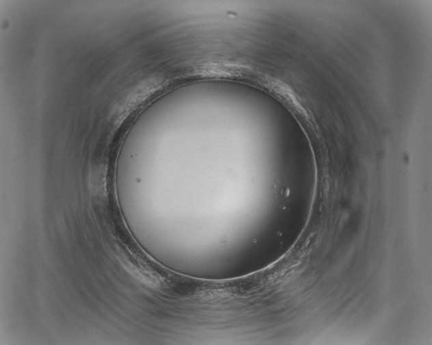 X0000067490299200604071211