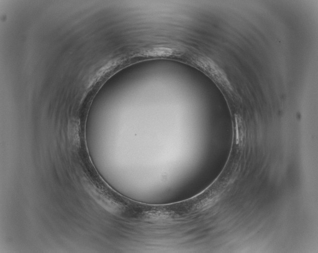 X0000067490300200604071211