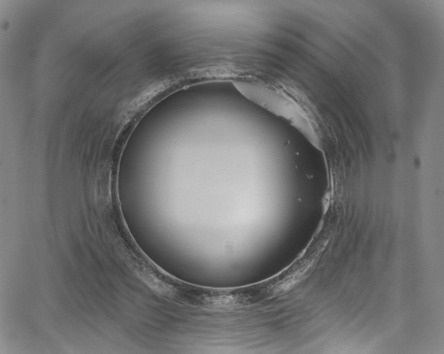 X0000067490301200604071211