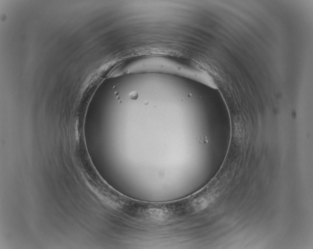 X0000067490302200604071211