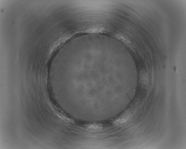 X0000067490303200604071211