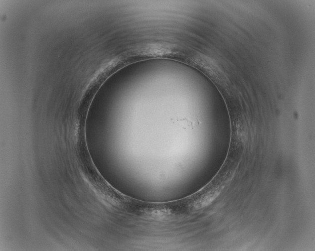 X0000067490304200604071211