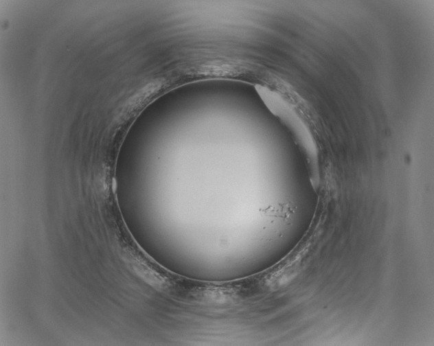 X0000067490305200604071211