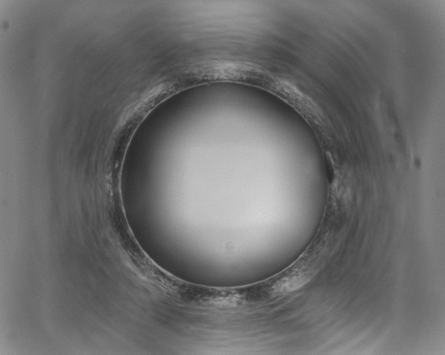 X0000067490306200604071211