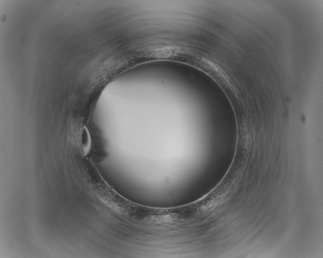 X0000067490307200604071211