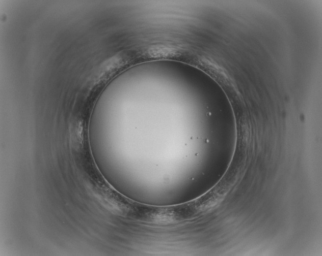 X0000067490308200604071211