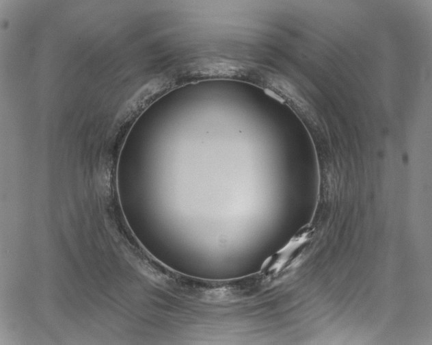 X0000067490309200604071211