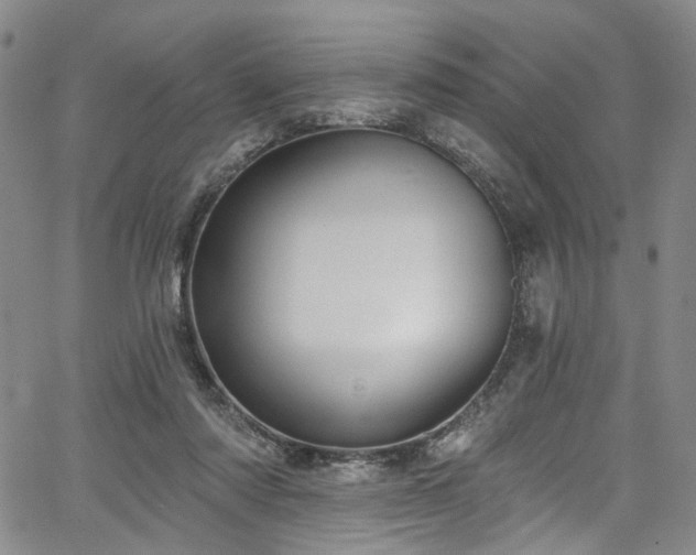 X0000067490310200604071211