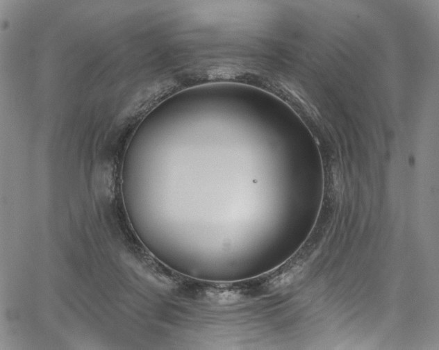 X0000067490311200604071211