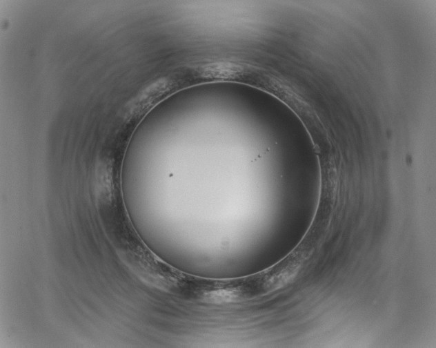 X0000067490312200604071211