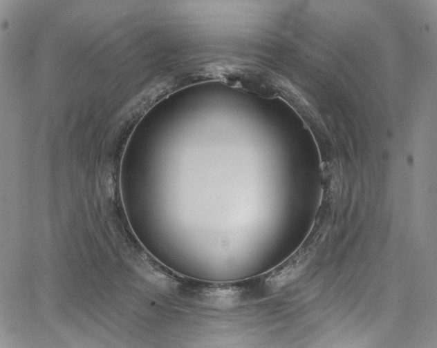 X0000067490313200604071210