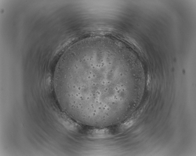 X0000067490314200604071210