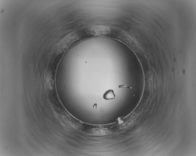 X0000067490316200604071210