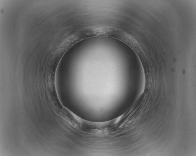 X0000067490317200604071210