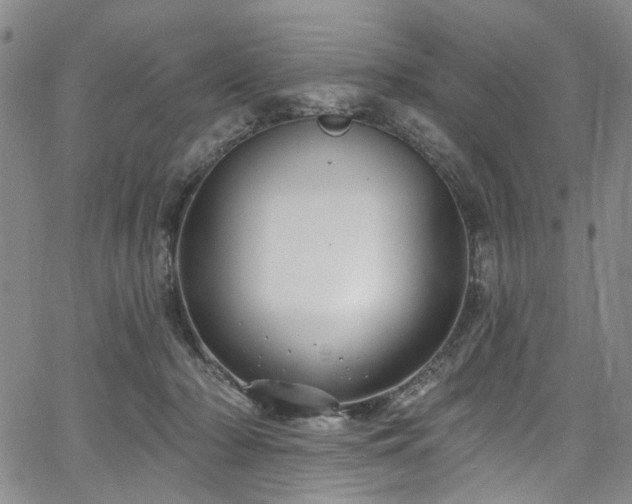 X0000067490318200604071210