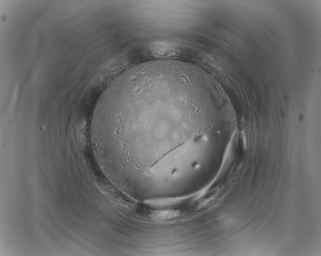 X0000067490319200604071210