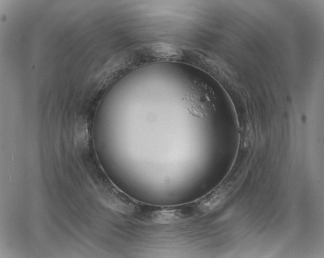 X0000067490320200604071210