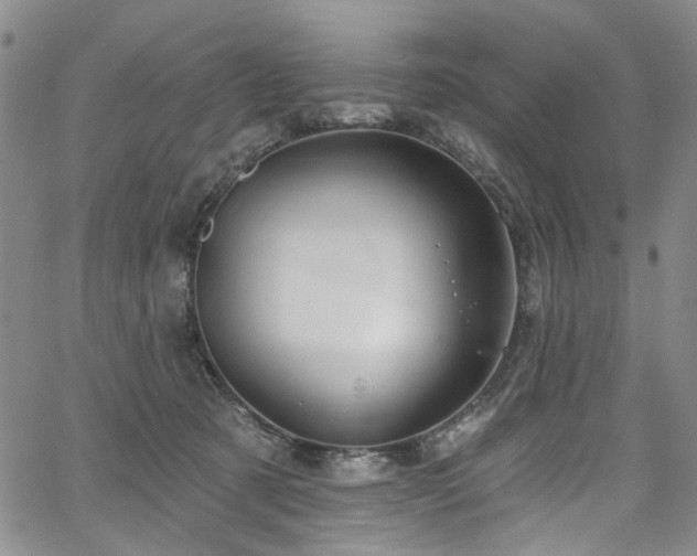 X0000067490321200604071210