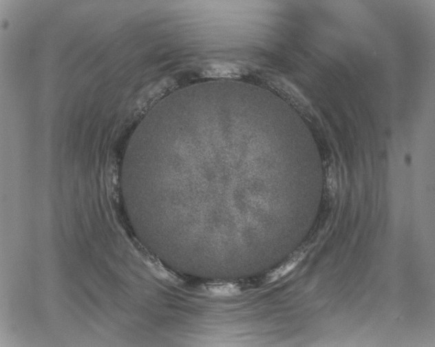 X0000067490322200604071210