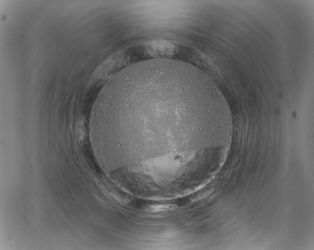 X0000067490323200604071210